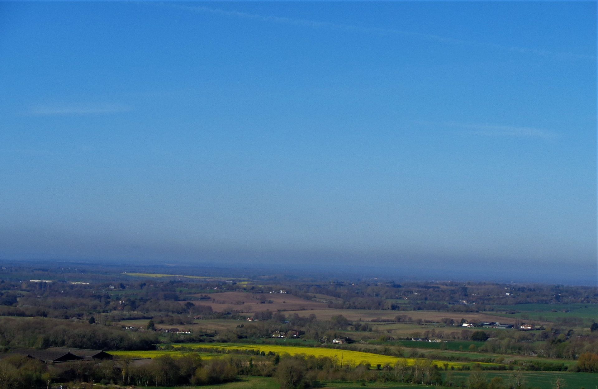 View from Farthing Common